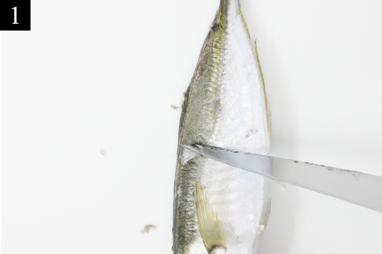 めいつの魚の捌き方 鯵 あじ めいつ 宮崎県日南市の魚の宝庫
